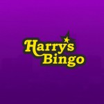 Harrys Bingo