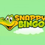 Snappy Bingo